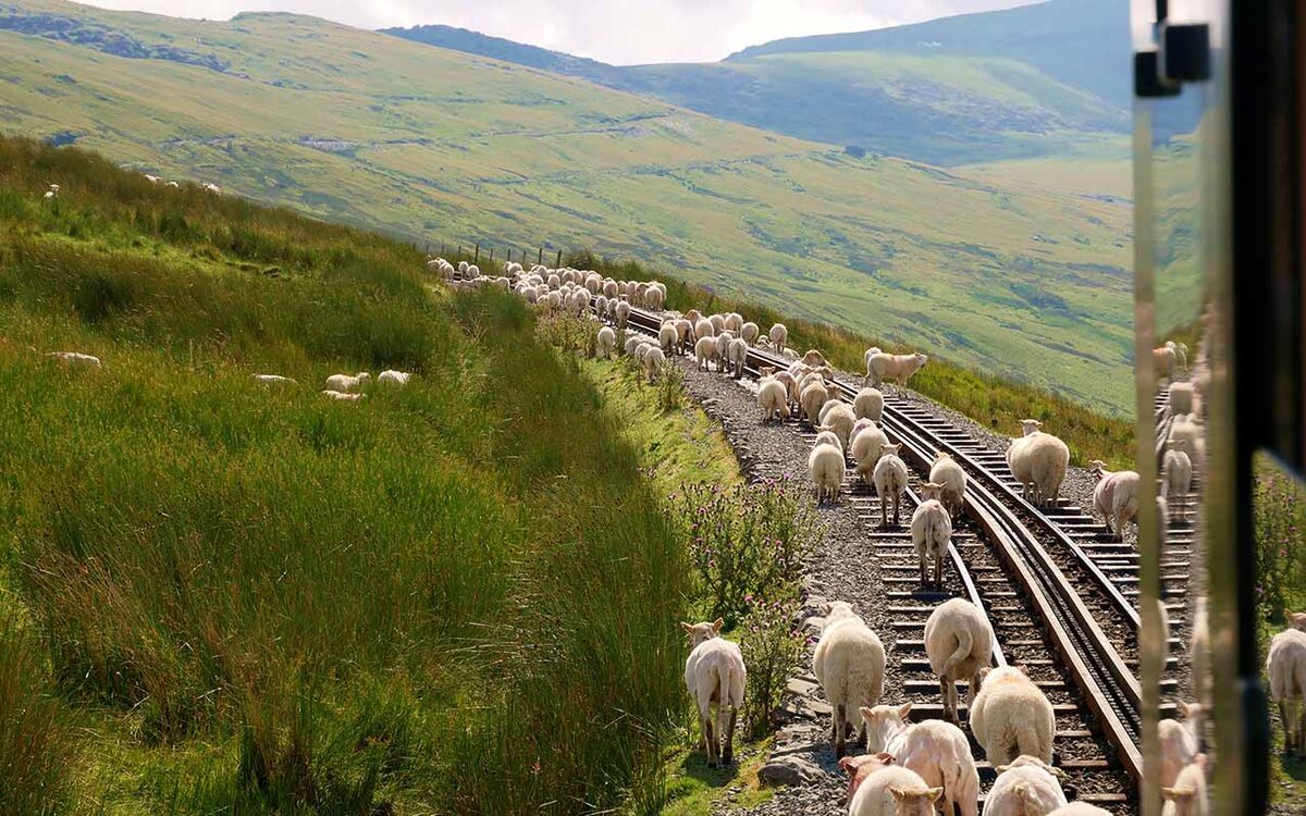 The log cabin in autumn, with golden bracken and mountain views